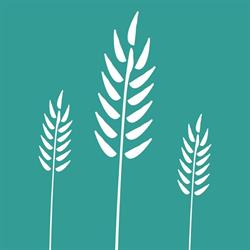 Daimar - La Matisserie, Wijnegem openingstijden