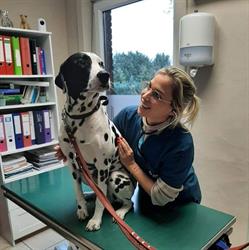 Tiffany Gori, Charleroi openingstijden