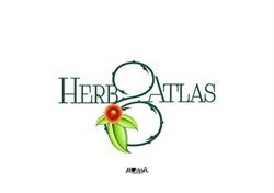 Herboristerie Atlas, Brussel openingstijden