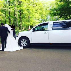 Rent-limo, Leopoldsburg openingstijden