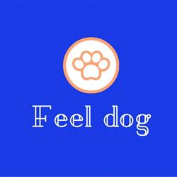 Feel Dog, Namen openingstijden
