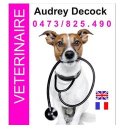 Decock Audrey, Lasne openingstijden