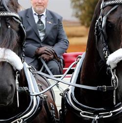 KOETSENVERHUUR - NODESCHFARM, Lokeren openingstijden