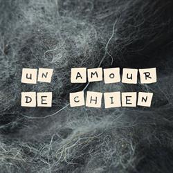 Un amour de chien, Auvelais openingstijden