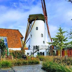 Rysselende Molen, Ardooie openingstijden