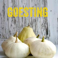Goesting, Antwerpen openingstijden