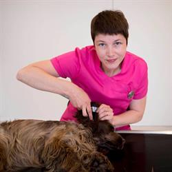 Dierenarts Veerle Bocken, Brakel openingstijden