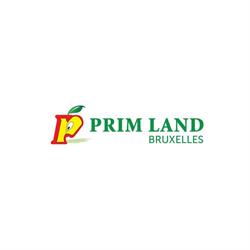PrimLand, Anderlecht openingstijden