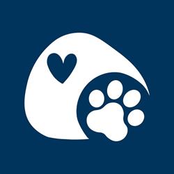 Honden ter adoptie in Dierenasiel Sint-Truiden, openingstijden