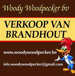 Woody woodpecker brandhout, Kampenhout openingstijden