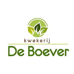 Kwekerij De Boever, Nevele openingstijden