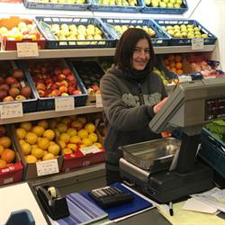 Groenten en fruit Katrin, Wachtebeke openingstijden