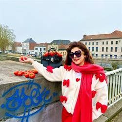 Maison Delvoo, Péruwelz openingstijden