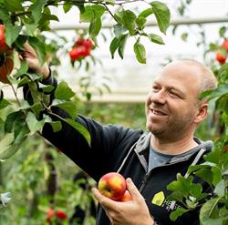 Helsen Fruit, Geel openingstijden