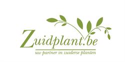Zuidplant, Tielt openingstijden