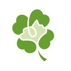 Dierenpension Pet's Clover, Overmere openingstijden