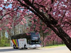 Coach2Travel, Arendonk openingstijden
