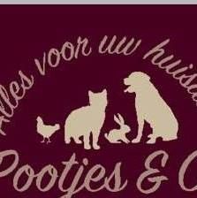 Pootjes & Co, Meulebeke openingstijden