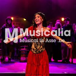 Musicalia, Asse openingstijden