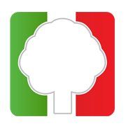 Fiat Garage De Linde, Aartselaar openingstijden