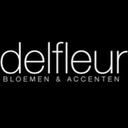 Delfleur, Wetteren openingstijden