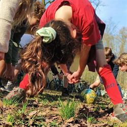 Chiro Don Bosco Schoten, openingstijden