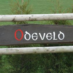 Stal Odeveld, Zeveneken openingstijden
