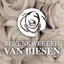 Rozenkwekerij Van Biesen, Opwijk openingstijden