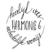 Harmonie 6, Herselt openingstijden