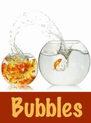 Bubbles, Buggenhout openingstijden