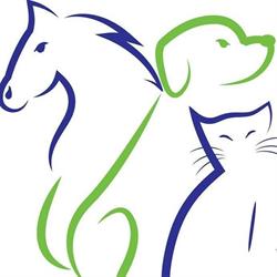Wase Dierenbescherming, Haasdonk openingstijden