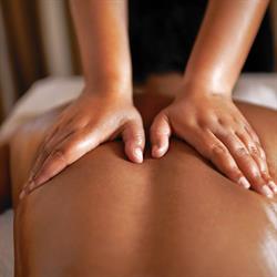Zentime, Grobbendonk openingstijden