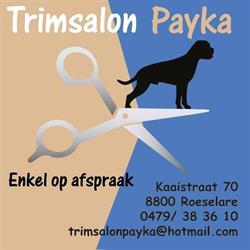 Trimsalon Payka, Roeselare openingstijden