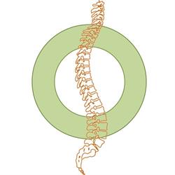 Pure Osteo BV, Herent openingstijden