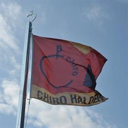 Chiro Hallaar, openingstijden