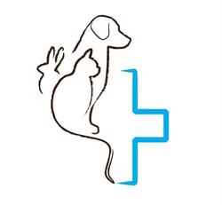 Dierenarts Steven De Smedt, Heist-op-den-Berg openingstijden