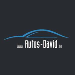 Auto's David, Lebbeke openingstijden