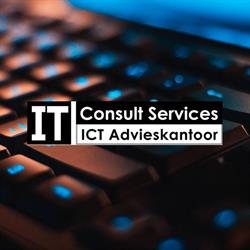 IT Consult Services BVBA, Beverlo openingstijden