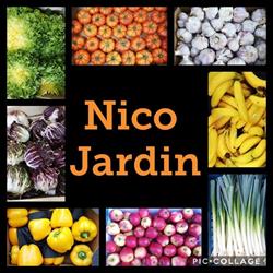 Nico Jardin, Wanfercée-Baulet openingstijden