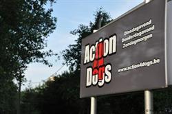 Action 4 Dogs, Ruisbroek openingstijden
