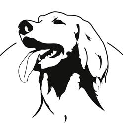 Trimsalon A dog's day, Lokeren openingstijden