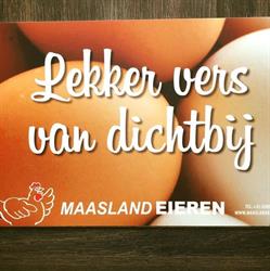 Maasland Eieren, Maaseik openingstijden