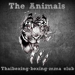 The Animals Thaiboxing/Boxing/mma club, Terhagen openingstijden