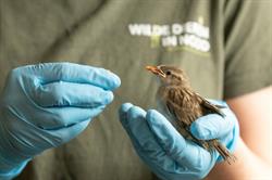 Wilde dieren in nood - VOC Brasschaat/Kapellen, openingstijden