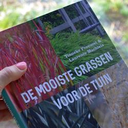 De Grashalm, Kortemark openingstijden