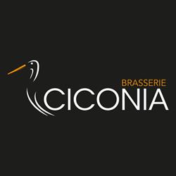 Brasserie Ciconia, Schoten openingstijden