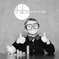 Thibo verzekeringen BV, Hechtel-Eksel openingstijden