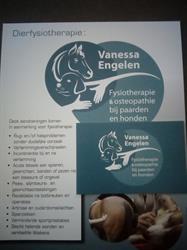 Fysiotherapie & Osteopathie hond en paard Vanessa Engelen, Nijlen openingstijden