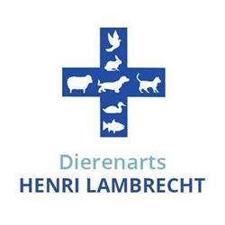 Dierenarts Henri Lambrecht, Wielsbeke openingstijden