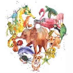 Dierenartsenpraktijk Hesbei, Tongeren openingstijden